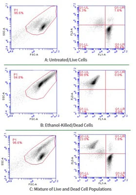 Advanced Calcein AM Cell Viability Kit - Image 7