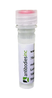 AM1-43 Nerve Terminal Staining Kit IIB