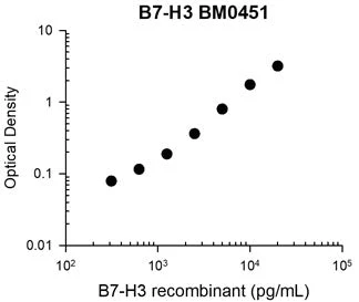 Anti-B7-H3/CD276 (Extracellular region) Antibody - Image 3