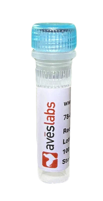 Anti-Beta4-Spectrin Recombinant Chicken Chimeric mAb FL650 Conjugate