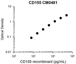 Anti-CD155/PVR (Extracellular region) Antibody - Image 3