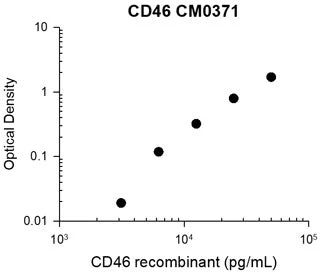 Anti-CD46 (Extracellular region) Antibody - Image 3