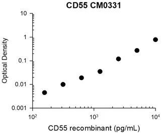 Anti-CD55 (Extracellular region) Antibody - Image 3