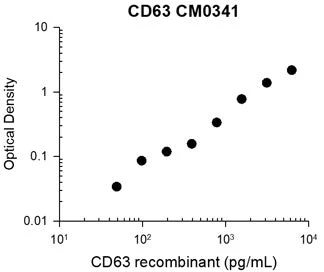 Anti-CD63 (Extracellular region) Antibody - Image 2