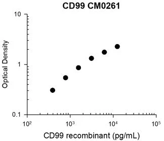 Anti-CD99 (Extracellular region) Antibody - Image 3