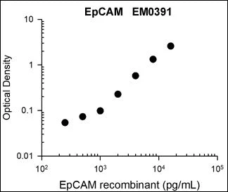 Anti-EpCAM (Extracellular region) Antibody - Image 3