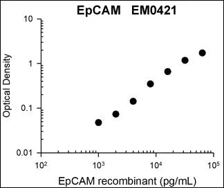 Anti-EpCAM (Extracellular region) Antibody - Image 3