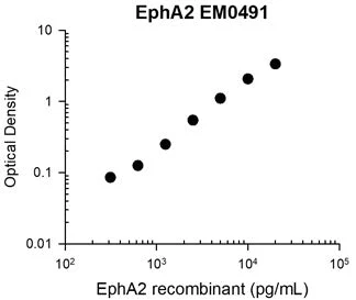 Anti-EphA2 (Extracellular region) M049 Antibody - Image 3