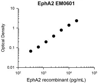 Anti-EphA2 (Extracellular region) M060 Antibody - Image 3