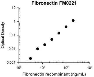 Anti-Fibronectin Antibody - Image 3