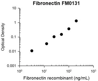 Anti-Fibronectin (Cell/Heparin2 Binding region) Antibody - Image 3