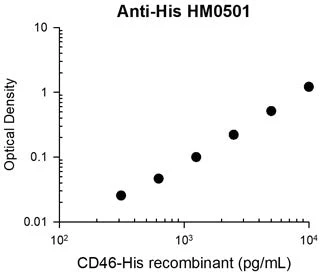Anti-His (C-terminal) Tag Antibody - Image 3