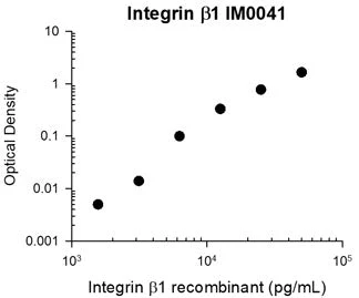 Anti-Integrin β1 (Extracellular region) Antibody - Image 3