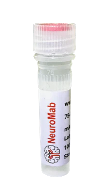 Anti-Kir2.3 K+ Channel Antibody (BSA and Azide free)
