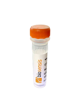 Anti-Adiponectin Antibody