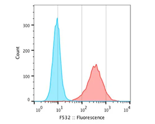 Anti-Neurofilament heavy polypeptide, phosphorylated, (pNF-H) Antibody (NAP4) - Image 2