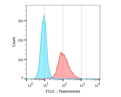 Anti-Neurofilament medium polypeptide (NF-M) Antibody (3H11) - Image 2