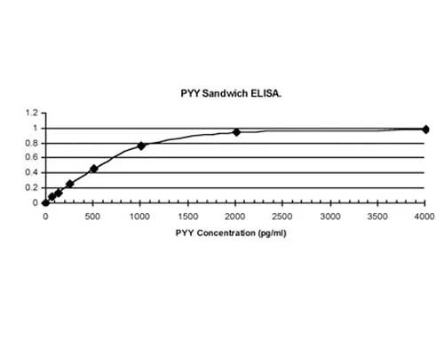 Anti-Peptide YY (PYY) Antibody