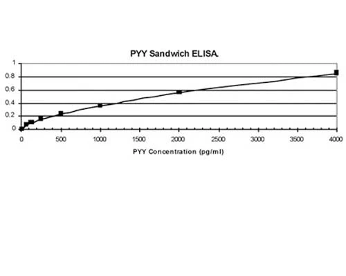 Anti-Peptide YY (PYY) Antibody