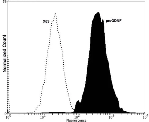 Anti-Pro-glial cell line-derived neurotrophic factor (proGDNF) Antibody