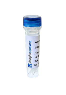 Anti-RBPMS Recombinant Guinea Pig Chimeric mAb (BSA and Azide Free)