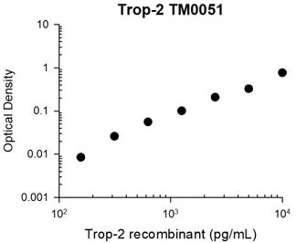 Anti-Trop-2/TACSTD2 (Extracellular region) Antibody - Image 2