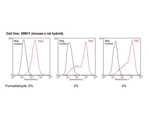 Anti-Tyrosine Kinase Receptor C (TrkC) Antibody - Image 2