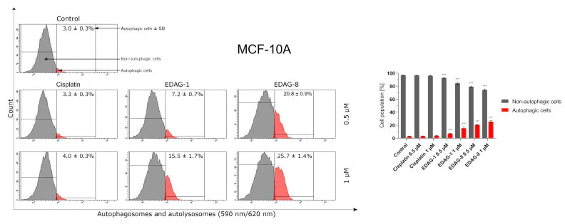Autophagy Assay - Red Fluorescent - Image 3