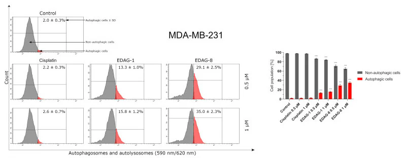 Autophagy Assay - Red Fluorescent - Image 4