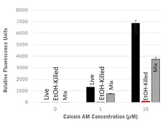 Basic Calcein AM Cell Viability Kit - Image 3