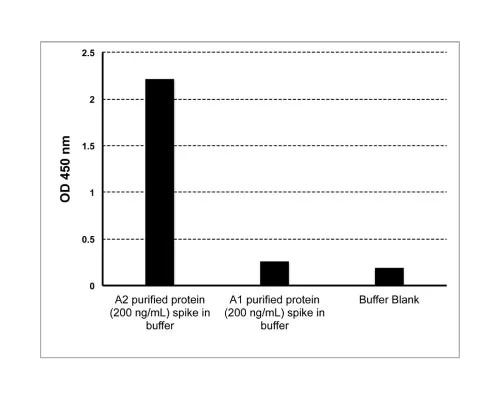Bovine A2 Beta casein (A2) ELISA Assay - Image 3