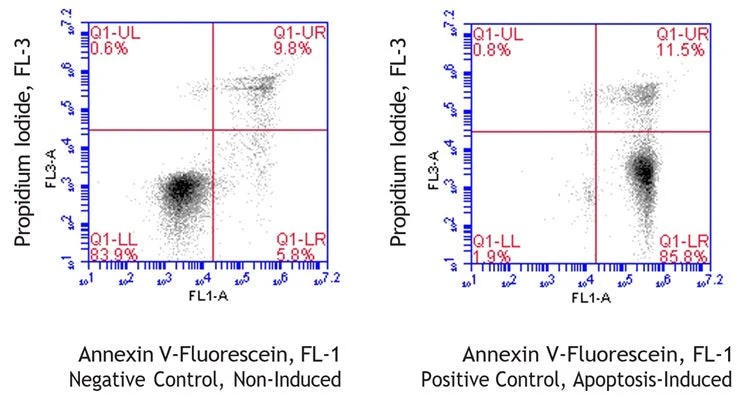 Canine Annexin V-Fluorescein Apoptosis Assay Kit