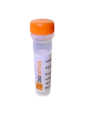 Beta-NGF, Human, Purified Recombinant Protein