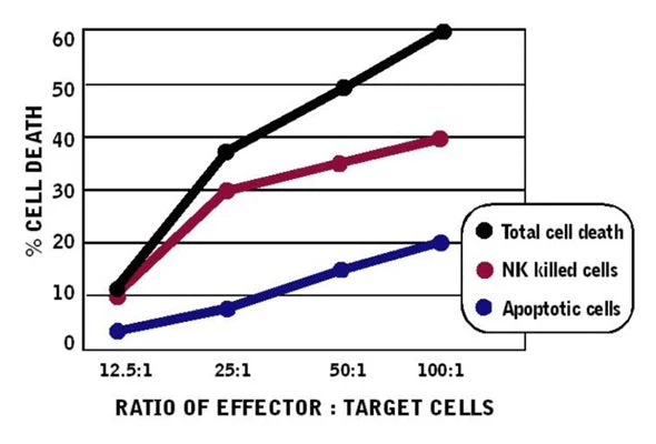 Cell-mediated Cytotoxicity Assay: Total Cytotoxicity Test - Image 17