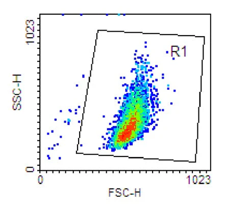 Dual Caspase 1 and Mitochondrial Membrane Potential Assay Kit - Image 3