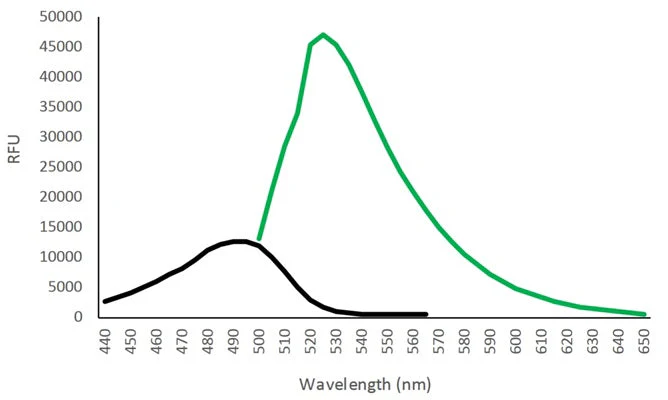 Green Fluorescent FAM In vivo Poly (active) Caspase (VAD) Assay