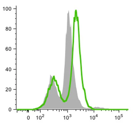 Green Fluorescent FAM-VAD-OPH I in vitro poly Caspase Apoptosis Detection Reagent