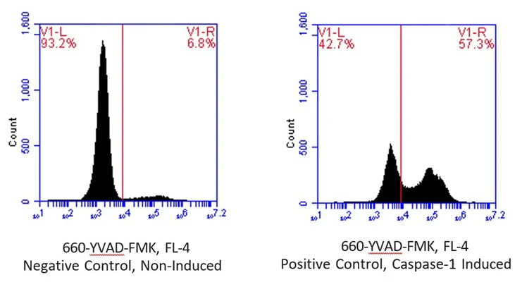 Far-Red Fluorescent FLICA® 660 Caspase-1 (YVAD) Assay Kit - Image 2