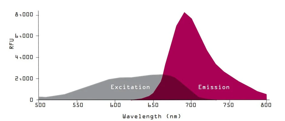 Far-Red Fluorescent FLICA® 660 Poly (active) Caspase (VAD) Assay Kit