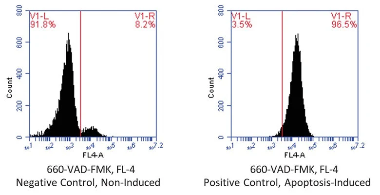 Far-Red Fluorescent FLICA® 660 Poly (active) Caspase (VAD) Assay Kit - Image 2