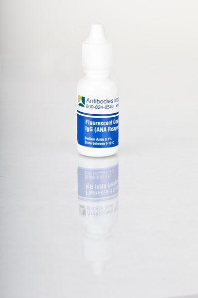 Fluorescent Goat anti-Human IgG for ANA kit In-Vitro Diagnostic Kit