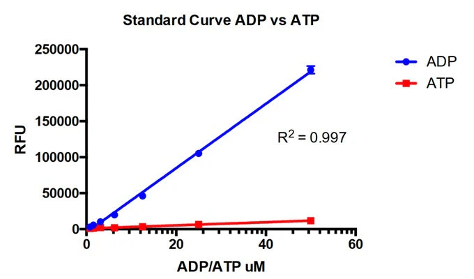 Fluorescent ADP Detection Kit - Image 2