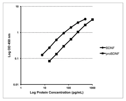 Human mBDNF/proBDNF Combo Rapid ELISA Assay - Image 2