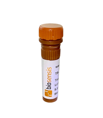 LipoFluor-DMN-DT™ Lipid Droplets & ER Positive Vesicle Tracing Reagent