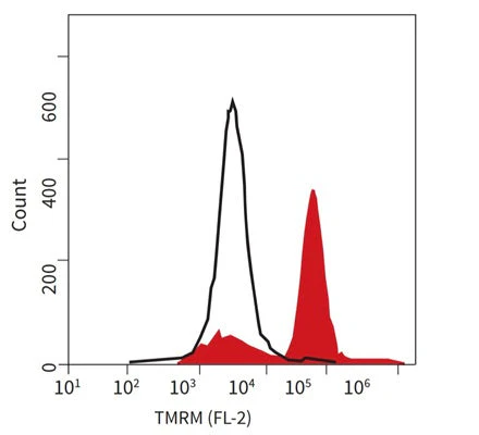 TMRE - Orange Fluorescent Mitochondrial Membrane Depolarization Assay - Image 3