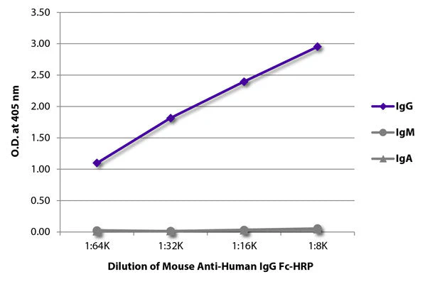 Mouse Anti-Human IgG Fc Secondary Antibody, HRP
