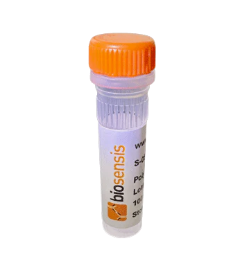 Anti-Basic Fibroblast growth factor (Basic FGF) Antibody
