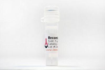 Recombinant Human IL-6