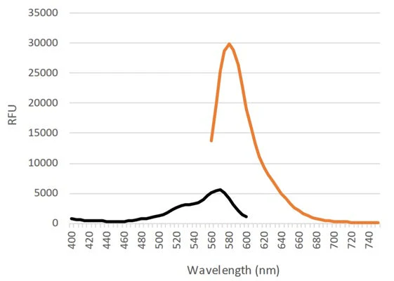 Red Fluorescent SR In vivo Poly (active) Caspase (VAD) Assay