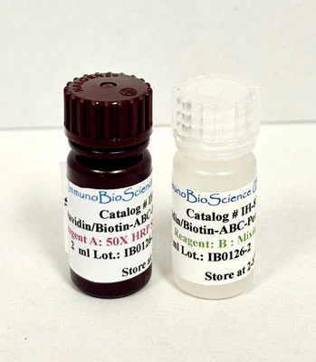 Streptavidin/Biotin-ABC-Peroxidase Staining Kit - Image 5